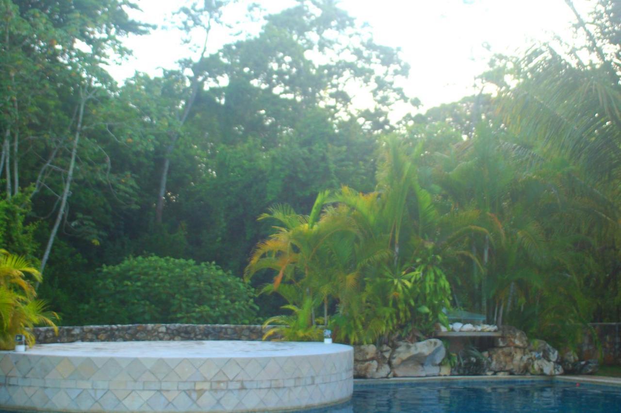 Axkan Palenque, Shows En Vivo & Gastronomia Mar Y Tierra & Travel Agency المظهر الخارجي الصورة